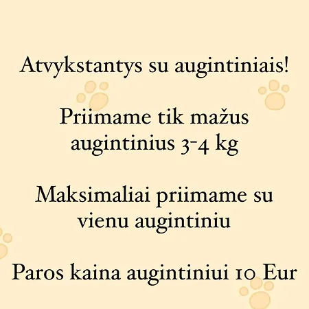 Pajurio Gintaro Namai Palanga