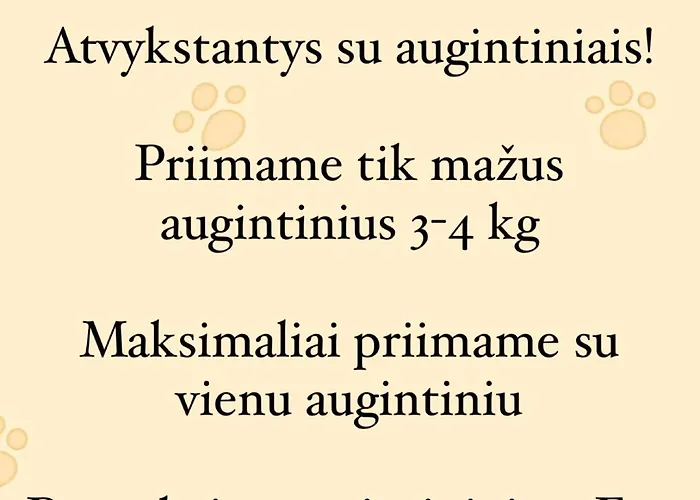 Pajurio Gintaro Namai פלאנגה